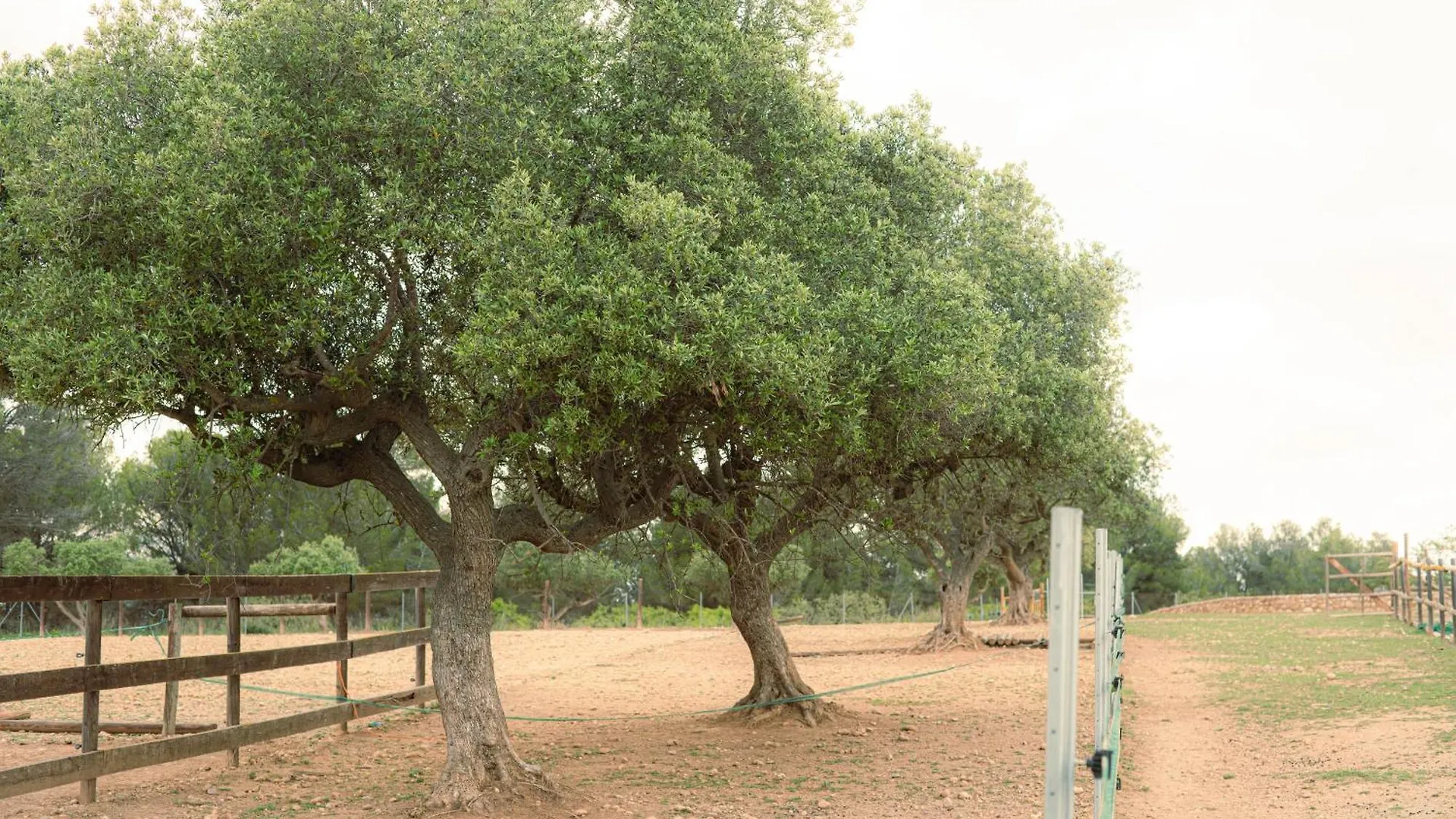 Masia En Plena Naturaleza Y Tranquilidad San Quintin de Mediona
